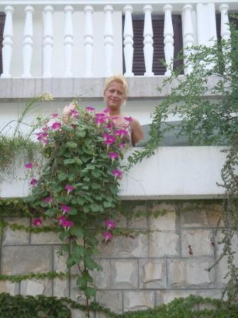 Mara Apartment Budva